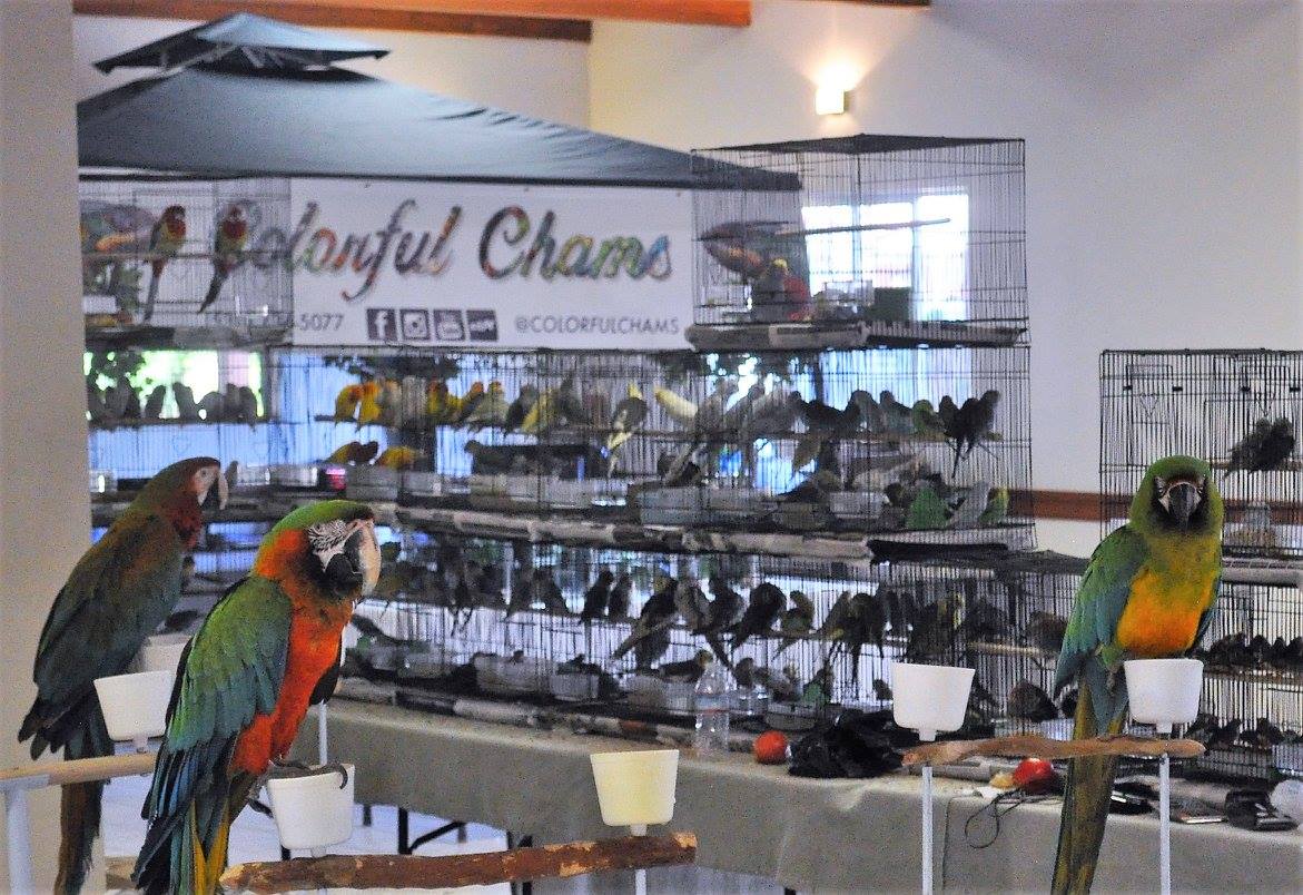 Home Exotic Bird Mart & Expo